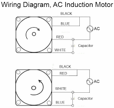 Three phase motors in autocad. Ac Motor Capacitor Wiring Diagram Wiring Diagram Networks