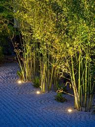 Modern Japanese Garden Design