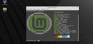 how to install linux mint 20 ulyana