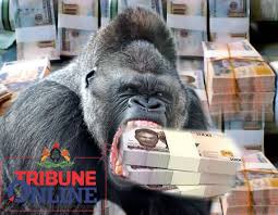 6 Times Animal Stole Money in Nigeria - Daily Report Nigeria