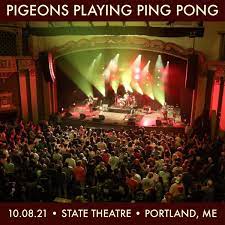 pigeons playing ping pong