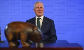 Image result for National Party a wombat cartoon
