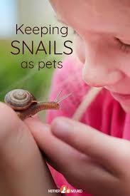 keeping pet snails everything you need