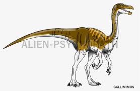 Jurassic world dinosaur drawing easy. Dinosaurs Drawing Raptor Dinosaur Raptor Drawing Hd Png Download Kindpng