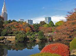 autumn leaves in tokyo