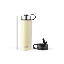 22 Oz Double Walled Insulated Stainless