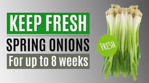 best way to keep spring onions or green