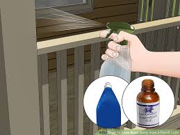 How To Keep Bugs Away From A Porch Light