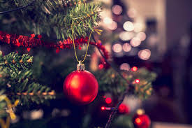 Christmas Tree Secrets What Your Tree Wishes You Knew