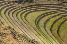 Inca Agricultural Terraces Stock Photo Mathes 115245574