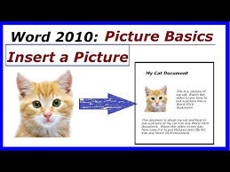 word 2010 how to insert pictures