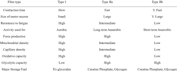 Summary Of Muscle Fibre Types And Metabolic Activity