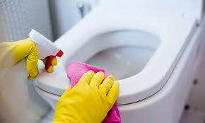 Use Bleach To Clean Your Toilet