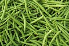 How Much Is Bushel of Green Beans?