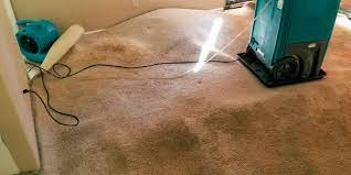 new way carpet cleaning restoration