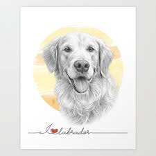 labrador retriever dog art print golden
