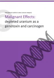 Would that be uranium 251? Malignant Effects Depleted Uranium As A Carcinogen And Genotoxin Icbuw