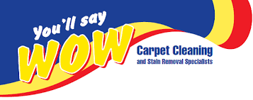 wow carpet cleaning auckland home