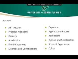 usf marriage family therapy