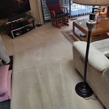 carpet cleaning in plainfield