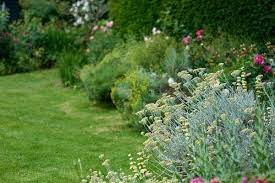 Domestic Landscaping London