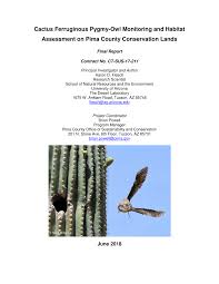 The pygmy owl is eaten by goshawks, red tailed hawks, and coopers hawks. Pdf Cactus Ferruginous Pygmy Owl Monitoring And Habitat Assessment On Pima County Conservation Lands
