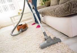 fleas in carpet effective ways to
