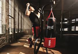punching bag stands with pull up bar
