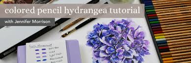 Colored Pencil Hydrangea Tutorial With