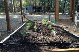 Raised Garden Beds How To Home