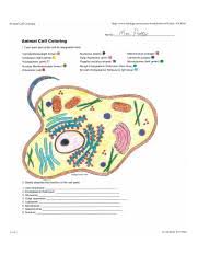 The animal cell coloring worksheet has been used with freshman biology for years learn the animal cell if you do labs in your science classroom you are probably aware of. Amimal Cell Coloring Sheet Jpg Animal Cell Coloring Http Www Biology Corner Com Worksheets Ce Sheets Cellcolor Old Html Mrs Potter Animal Cell Course Hero