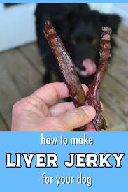 liver y dog treats recipe with just