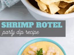shrimp rotel dip recipe cheesy party