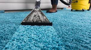 bissell carpet cleaner safe for es