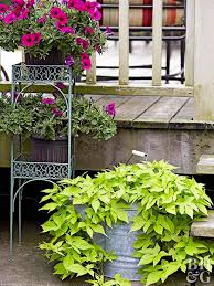 Container Plants Garden Containers