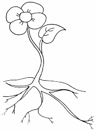 This content is created and maintained by a third party, and imported onto this page to help users provide their email. Peach3 Fruit Coloring Pages Coloring Page Book For Kids