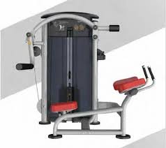 manual it9526 glute for gym at rs