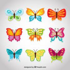 Klicken sie hier, um zu drucken. Malvorlage Schmetterling Gratis Bunt Coloring And Malvorlagan