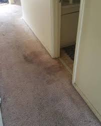 carpet cleaning company st clair