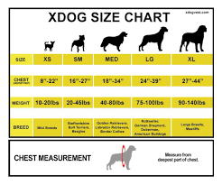 Xdog Vest Size Chart Workout Vest Doberman Border Collie