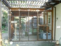 Enclosures For Cats Catios