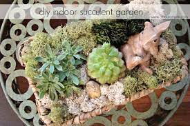 Diy Indoor Succulent Garden About A Mom