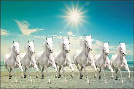 7 running horses wallpapers top free