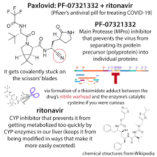 The basics & biochemistry of Paxlovid ...