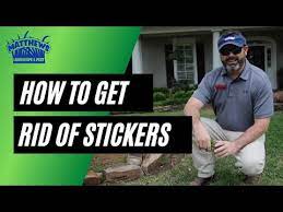 how to get rid of stickers burweed