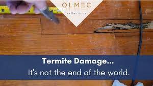 addressing termite damage you