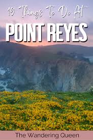 19 things to do in point reyes national