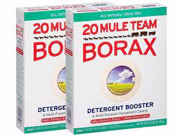 does borax kill fleas and is it safe