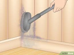 10 ways to remove mold and mildew wikihow