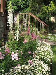 12 Daisy Garden Design For Small Yards